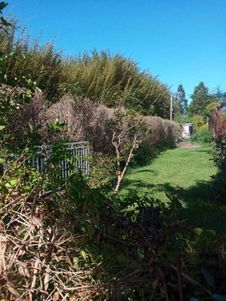 Espace vert Saint-Louis